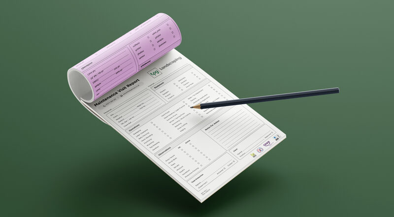 Ecommerce Website Essex